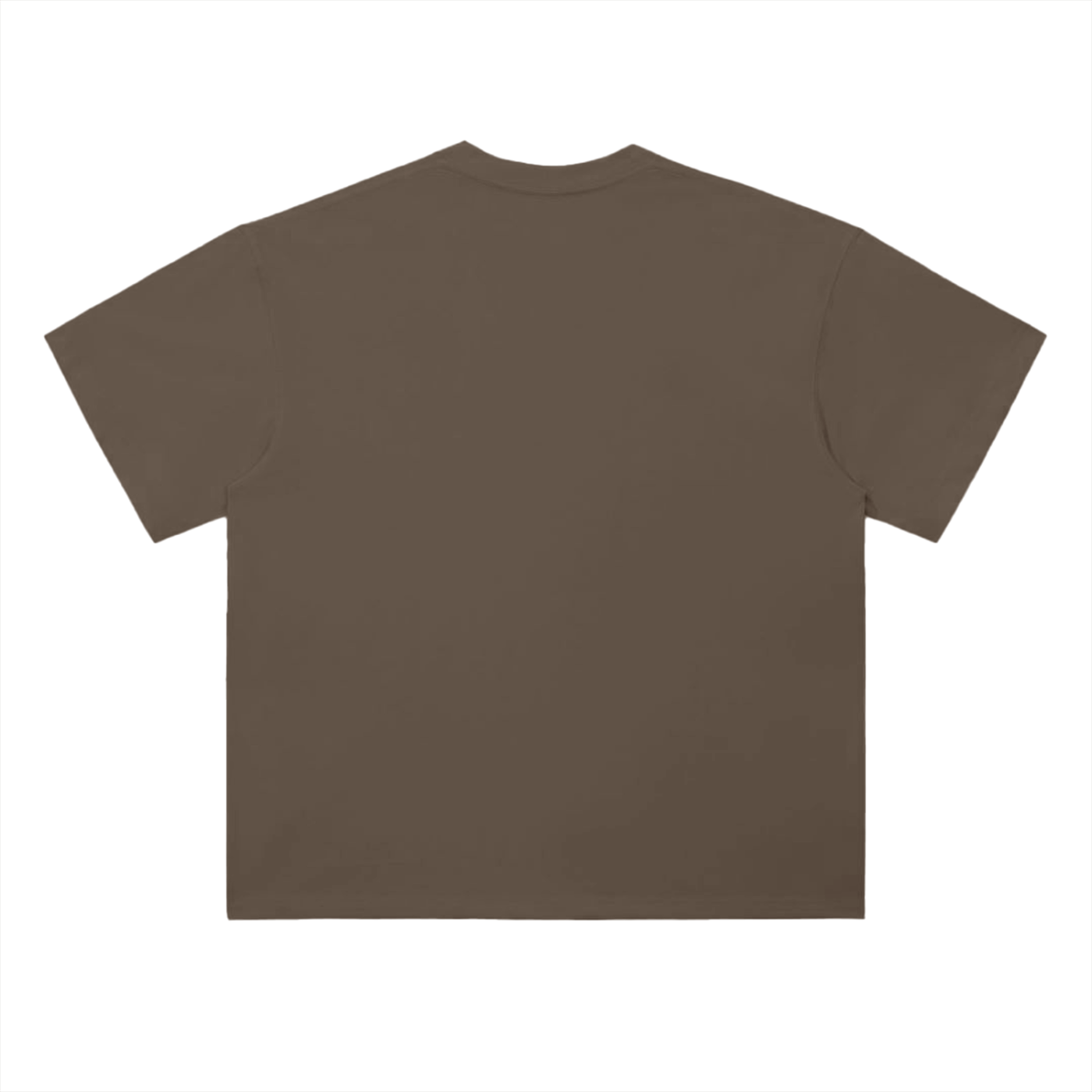 Healing & Growing Drop Shoulder T-Shirt