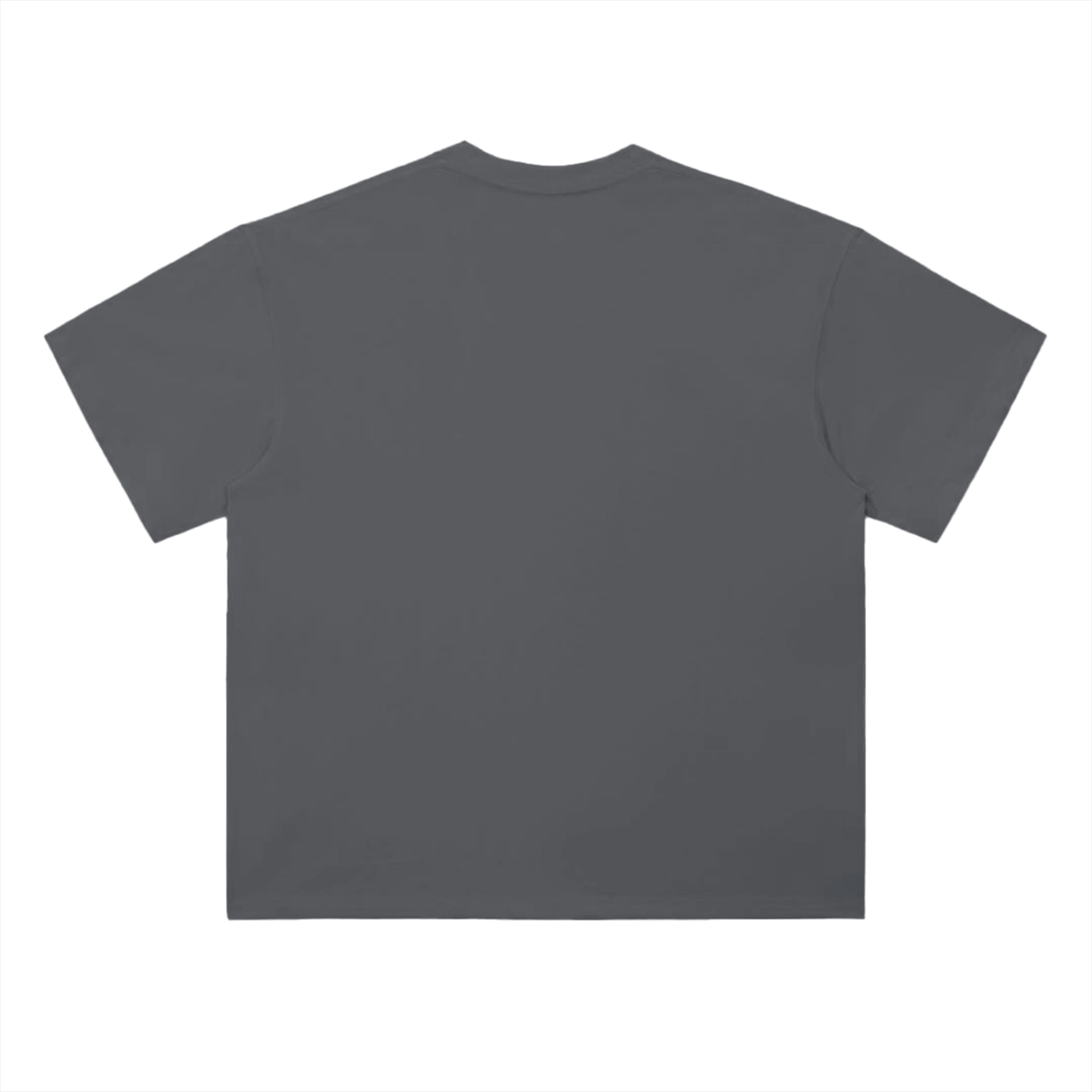 Healing & Growing Drop Shoulder T-Shirt
